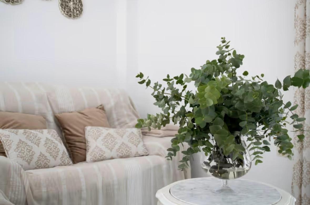 Apartamento Cataleya รอนดา ภายนอก รูปภาพ